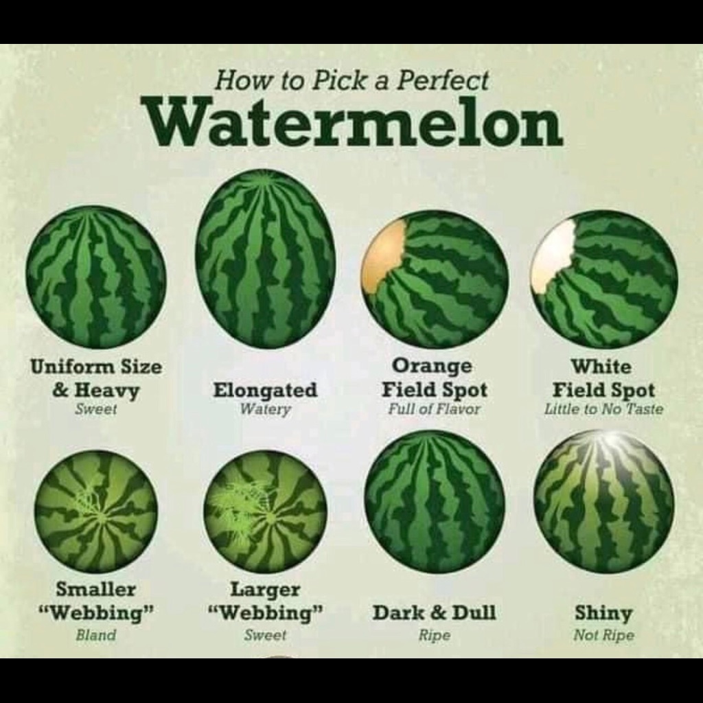 Random Helpful Information